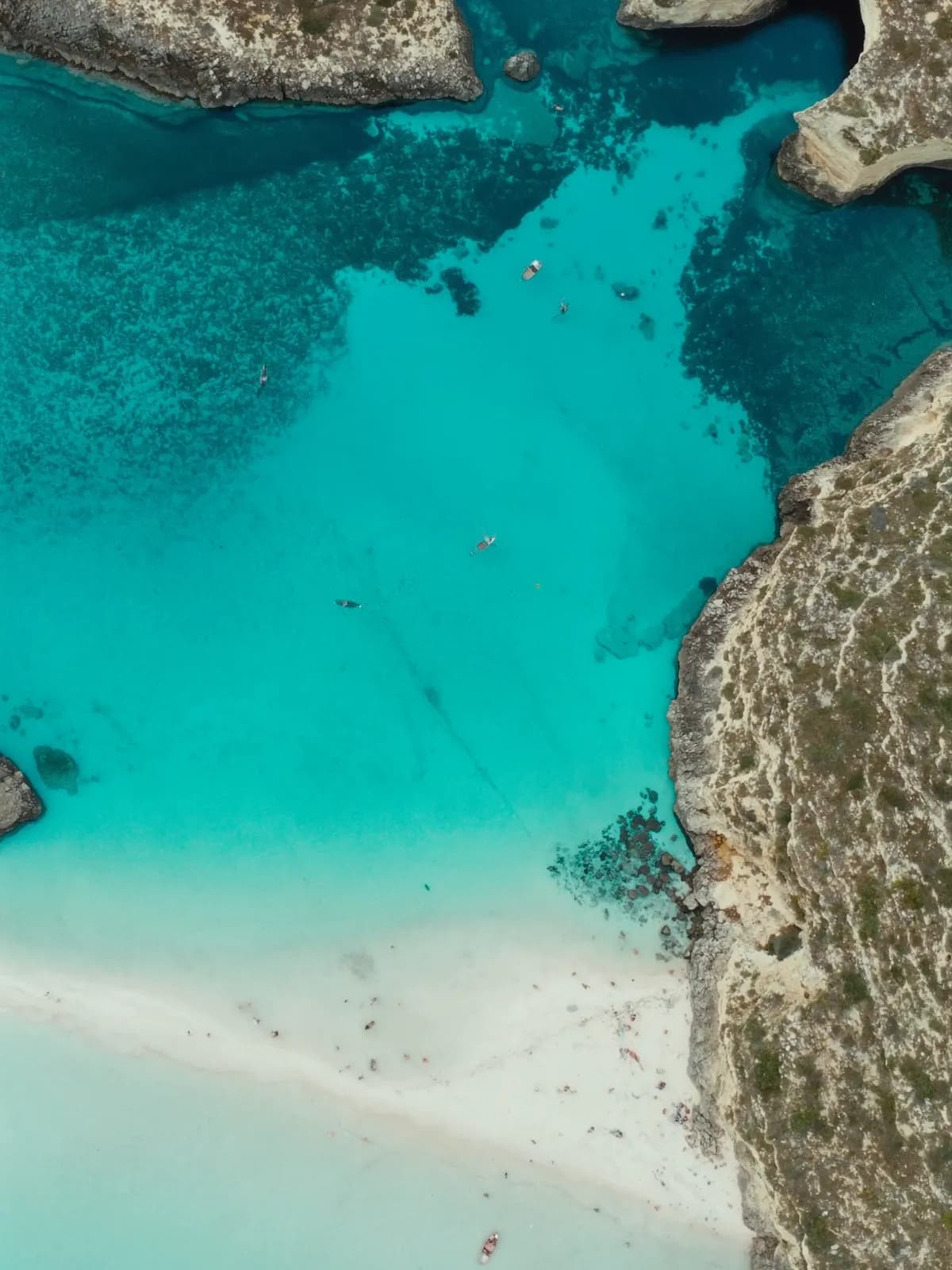 Blue Lagoon timing